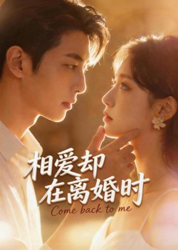 相爱却在离婚时在线观看
