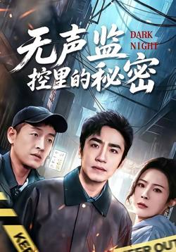 无声监控里的秘密高清播放