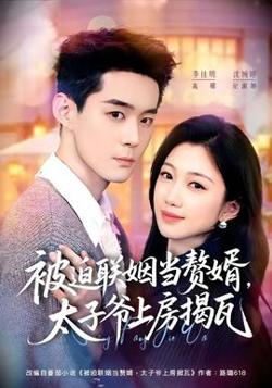 被迫联姻当赘婿，太子爷上房揭瓦高清播放