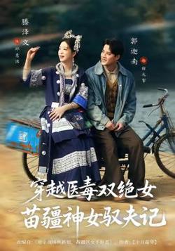 穿越医毒双绝女：苗疆神女驭夫记高清播放