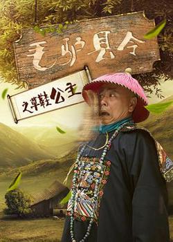 毛驴县令之草鞋公主高清播放