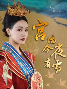 宫墙今夜有雪高清播放