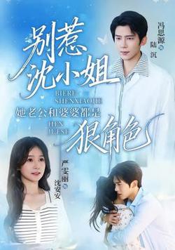 别惹沈小姐她老公和婆婆都是狠角色在线观看