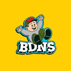 BDNS在线观看