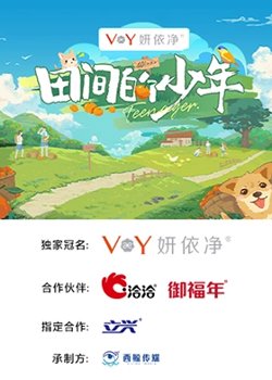 田间的少年