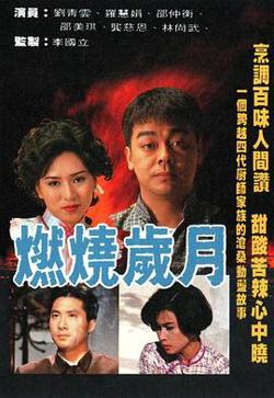 燃烧岁月粤语在线观看