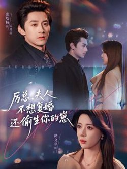 厉总，夫人不想复婚还偷生你的崽在线观看