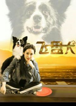 飞盘犬在线观看