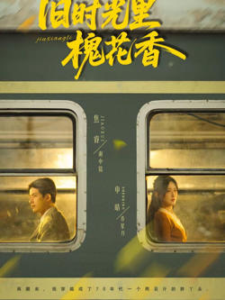 旧时光里槐花香高清播放