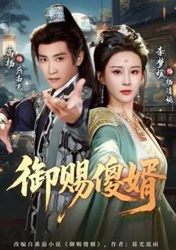 御赐傻婿高清播放