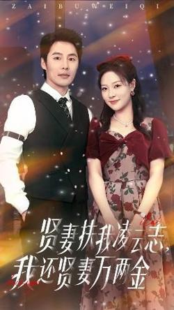 贤妻扶我凌云志我还贤妻万两金高清播放
