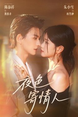 夜色寄情人高清播放
