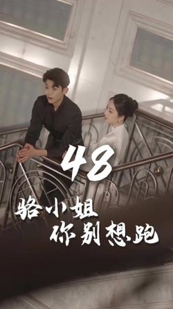 骆小姐你别想跑在线观看