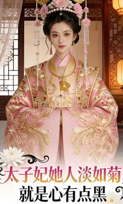 太子妃她人淡如菊，就是心有点黑高清播放