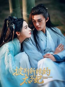 披荆斩棘的太子妃高清播放