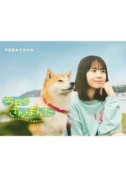 今日份的散步高清播放