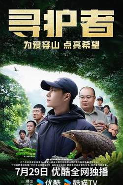 寻护者高清播放