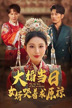 大婚当日，女婿哭着求原谅高清播放
