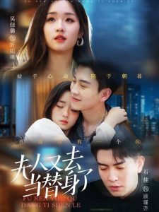 夫人又去当替身了高清播放