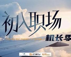初入职场·机长季高清播放