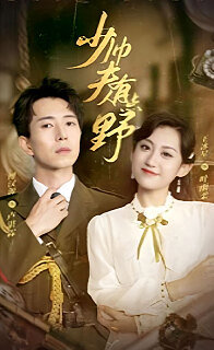 少帅夫人有点野在线观看