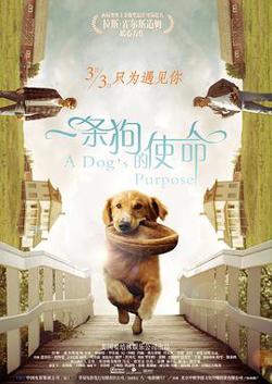 一条狗的使命（原声版）高清播放