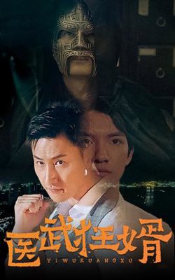 医武狂婿高清播放