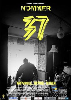 37号高清播放
