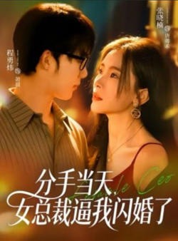 分手当天，女总裁逼我闪婚了高清播放