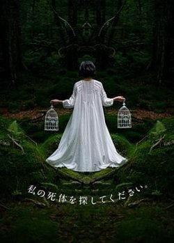 请寻找我的尸体高清播放