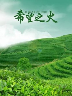 希望之火高清播放