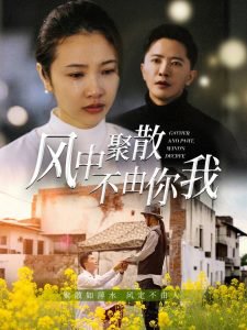 风中聚散不由你我高清播放