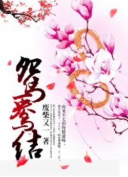 鸳鸯结在线观看
