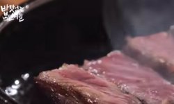 没有食欲的姐姐们高清播放