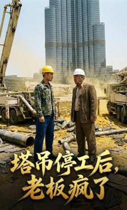 塔吊停工后老板疯了