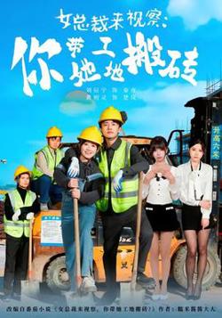 女总裁来视察：你带她工地搬砖2026高清播放