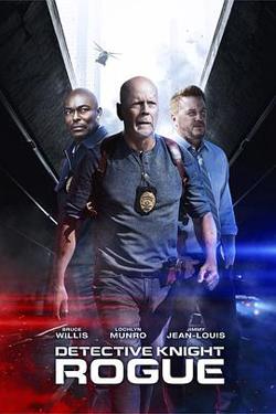 警探奈特：侠盗在线观看