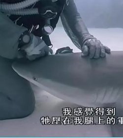 重访蓝色星球在线观看