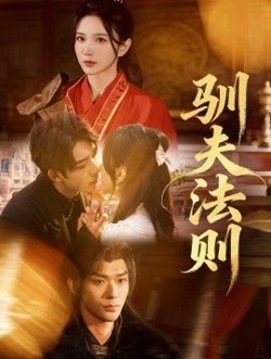 驯夫法则在线观看