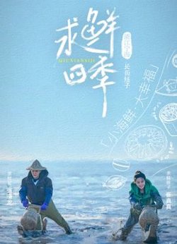 求鲜四季高清播放