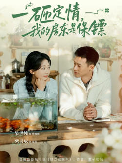 一砸定情，我的房东是保镖在线观看