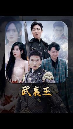 武襄王在线观看