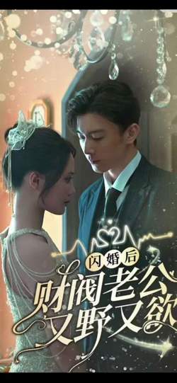 闪婚后财阀老公又野又欲在线观看