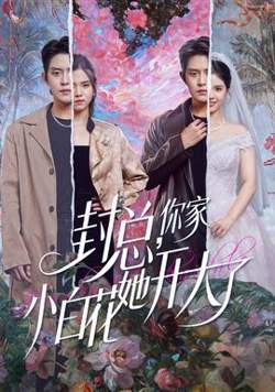 封总，你家小白花她开大了高清播放
