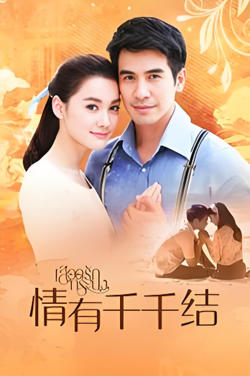 情有千千结 TV版在线观看