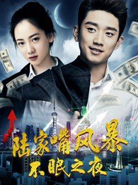 陆家嘴风暴：不眠之夜高清播放