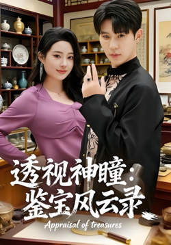 透视神瞳：鉴宝风云录在线观看