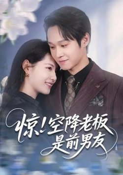 惊！空降老板是前男友高清播放