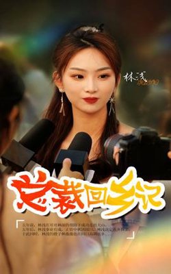 总裁回乡记高清播放