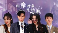 相亲对象是总裁~在线观看